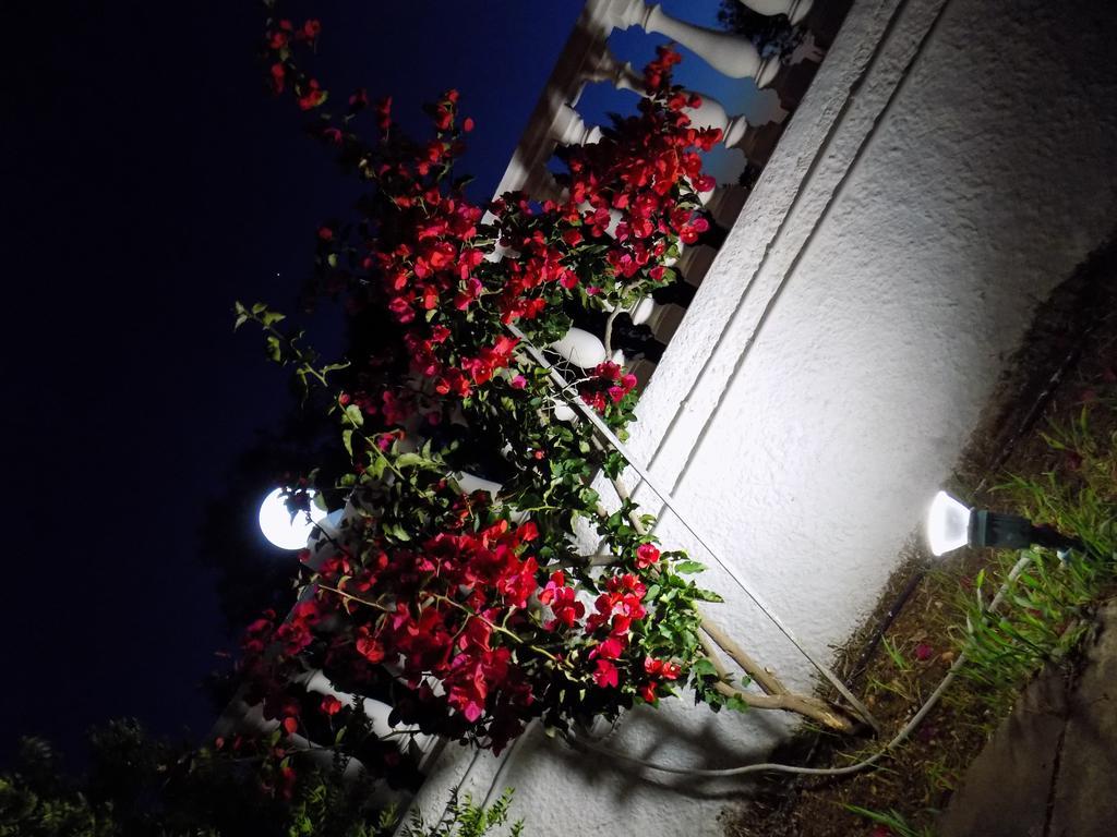 Galaxy Hotel Argostoli  Eksteriør bilde