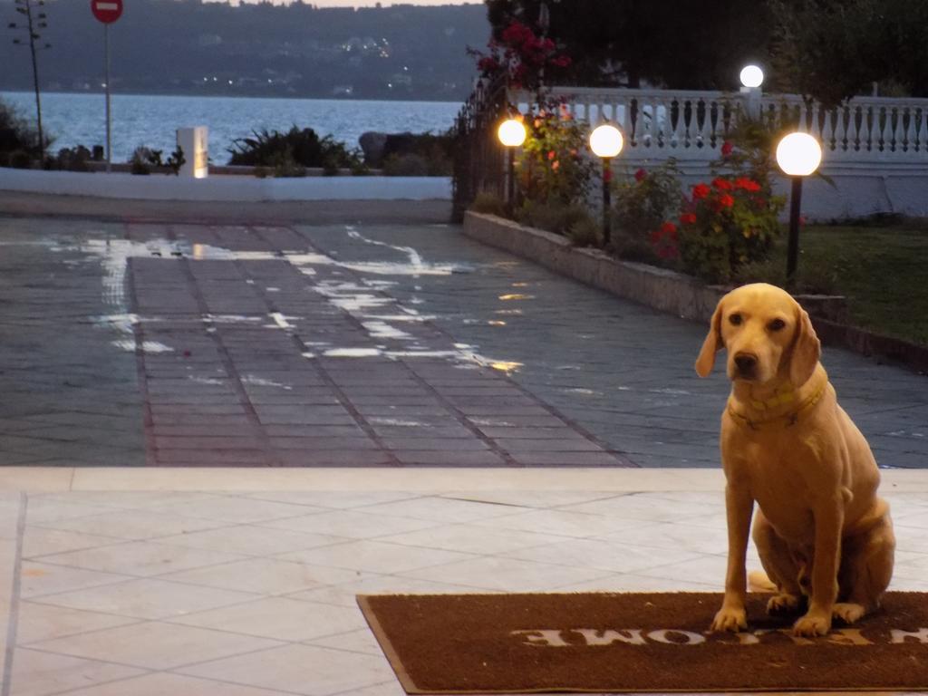 Galaxy Hotel Argostoli  Eksteriør bilde